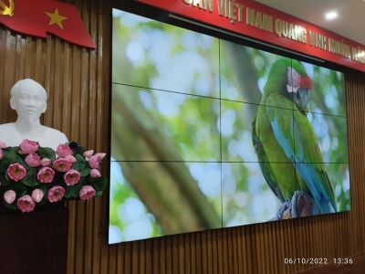 Thi công dự án hệ thống màn hình ghép Philips cho Cảng Vụ Hải Phòng